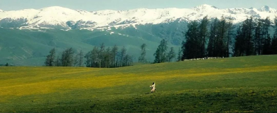 《我的阿勒泰》观后感